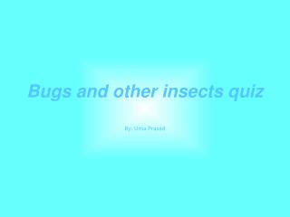 Bugs and other insects quiz