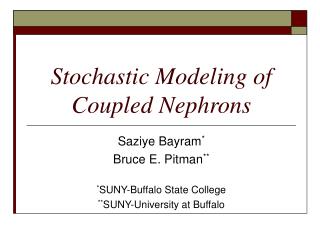 Stochastic Modeling of Coupled Nephrons