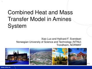 Combined Heat and Mass Transfer Model in Amines System