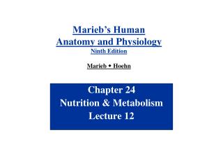 Chapter 24 Nutrition &amp; Metabolism Lecture 12