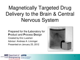 Magnetically Targeted Drug Delivery to the Brain &amp; Central Nervous System