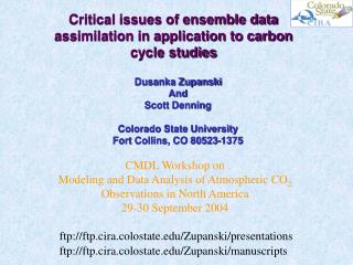 Critical issues of ensemble data assimilation in application to carbon cycle studies