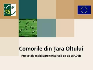 Comorile din Ț ara Oltului Proiect de mobilizare teritorial ă de tip LEADER