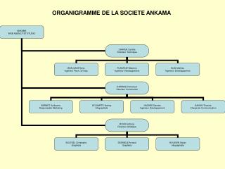 ORGANIGRAMME DE LA SOCIETE ANKAMA