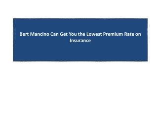 Bert Mancino Can Get You the Lowest Premium Rate on Insuranc