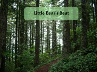 Little Bear’s Beat