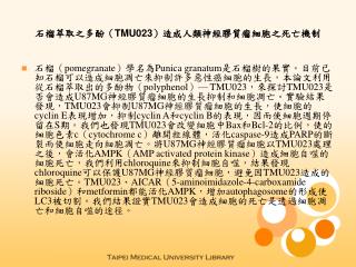 石榴萃取之多酚（ TMU023 ）造成人類神經膠質瘤細胞之死亡機制