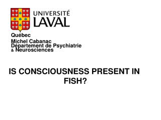 IS CONSCIOUSNESS PRESENT IN FISH?