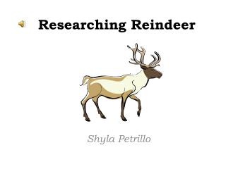 Researching Reindeer