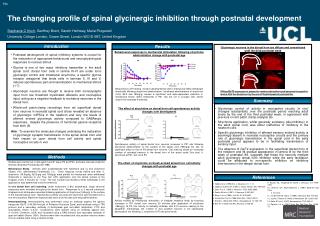 The changing profile of spinal glycinergic inhibition through postnatal development