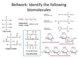 Bellwork : Identify the following biomolecules