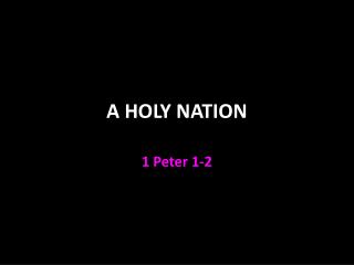 A HOLY NATION