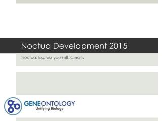 Noctua Development 2015