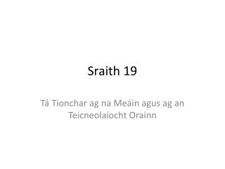 Sraith 19