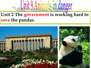 Unit 2 The government is working hard to save the pandas.