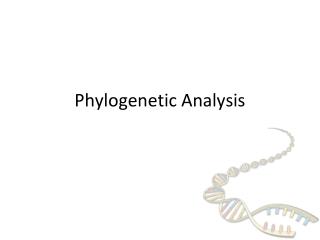 Phylogenetic Analysis