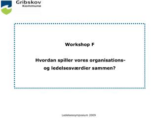 Workshop F Hvordan spiller vores organisations- og ledelsesværdier sammen?