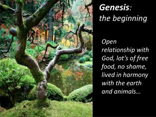 Genesis : the beginning