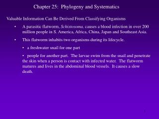 Chapter 25: Phylogeny and Systematics