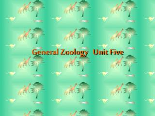 General Zoology Unit Five
