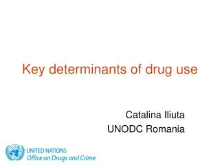 Key determinants of drug use