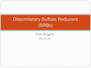 Dissimilatory Sulfate Reducers (SRBs)