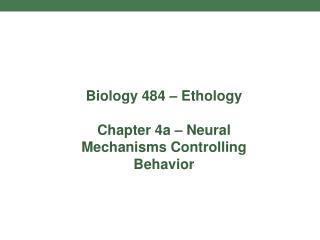 Biology 484 – Ethology Chapter 4a – Neural Mechanisms Controlling Behavior