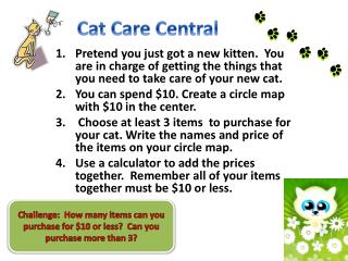 Cat Care Central