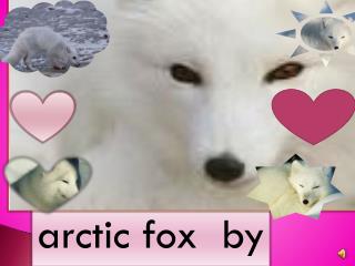 arctic fox by Ethan and Sydney