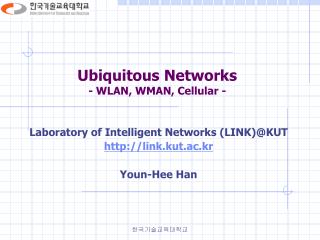 Ubiquitous Networks - WLAN, WMAN, Cellular -