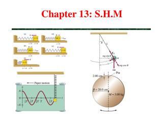 Chapter 13: S.H.M