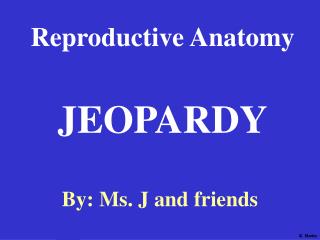 Reproductive Anatomy