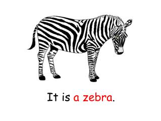 It is a zebra .