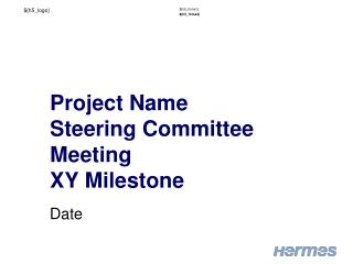 Project Name Steering Committee M eeting XY Milestone