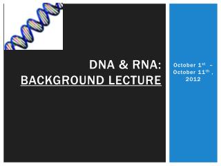 DNA &amp; rna : Background lecture