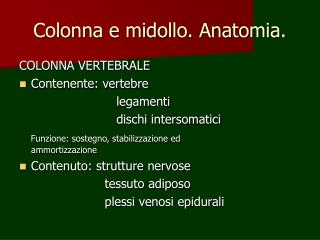 Colonna e midollo. Anatomia.