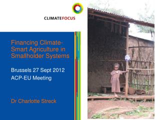 Financing Climate-Smart Agriculture in Smallholder Systems