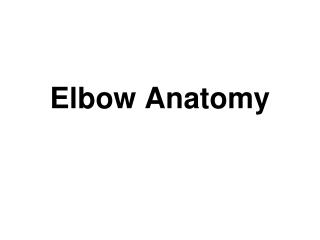 Elbow Anatomy