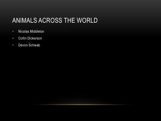 Animals across the world