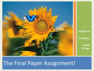 The Final Paper Assignment!