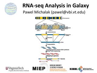 RNA- seq Analysis in Galaxy
