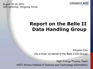 Report on the Belle II Data Handling Group