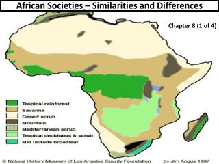 African Societies – Similarities and Differences