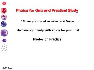Photos for Quiz and Practical Study