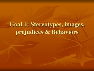 Goal 4: Stereotypes, images, prejudices &amp; Behaviors