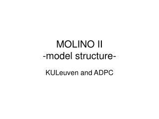 MOLINO II -model structure-