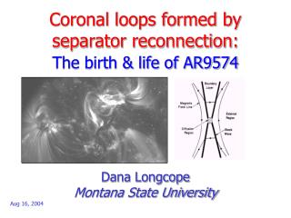 Coronal loops formed by separator reconnection: The birth &amp; life of AR9574