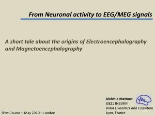 From Neuronal activity to EEG/MEG signals