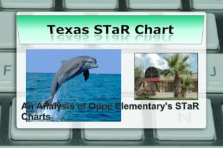 Texas STaR Chart