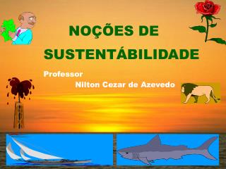 NOÇÕES DE 	SUSTENTÁBILIDADE Professor Nilton Cezar de Azevedo